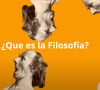 HISTORIA DE AMÉRICA LATINA