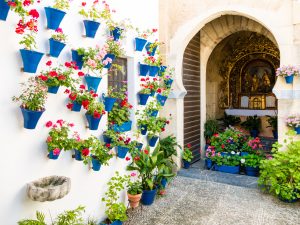tradiciones en cordoba
