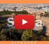 La Dinastía de los Borbones II