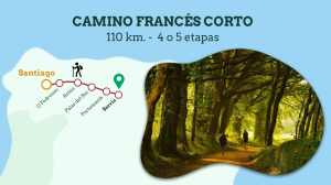 Camino francés corto