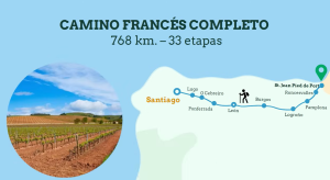Camino Francés completo